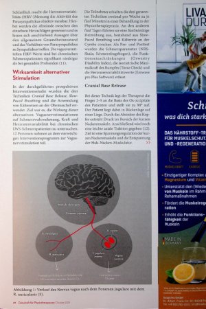 Vorschauseite 2: Vagusnerv im Visier Impulse für die Schmerztherapie