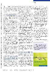 Vorschauseite 2: „Individuell und gesellschaftlich brauchen wir einen Werteund Systemwandel. “