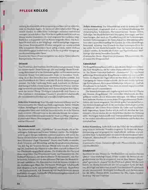 Vorschauseite 3: Wohltuend und sinnlich