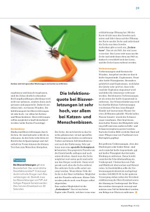Vorschauseite 2: Alltagswunden korrekt versorgen – damit sie nicht zum Problem werden