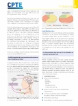 Vorschauseite 5: Schmerzmechanismen und Clinical Reasoning