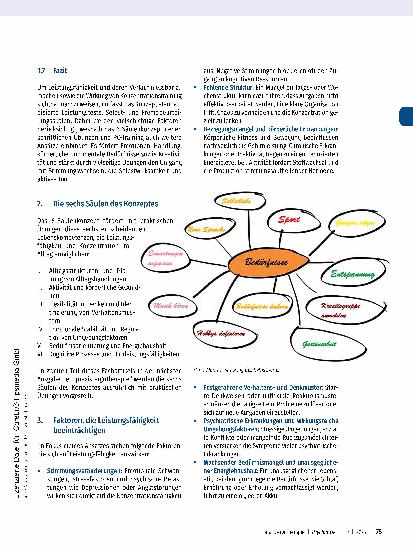 Vorschauseite 4: Das 6-Säulenkonzept von Steffen Kersken Eine ganzheitliche Alternative zum PC-Training in der Ergotherapie und Psychiatrie