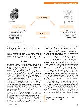 Vorschauseite 3: Entwicklungspädagogische Grundlagen erzieherischen Sehens, Denkens und Handelns