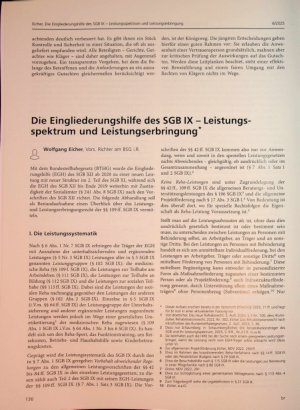 Vorschauseite 1: Die Eingliederungshilfe des SGB IX - Leistungsspektrum und Leistungserbringung*