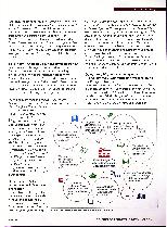 Vorschauseite 2: Gesundheit verträgt keine Gewalt - Hinschauen und Nachfragen hilft!