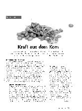 Vorschauseite 1: Kraft aus dem Korn