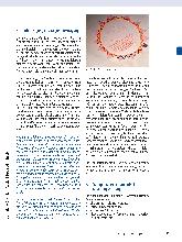 Vorschauseite 6: An Verlorenem festhalten - Chancen und Grenzen einer traumasensiblen Ergotherapie