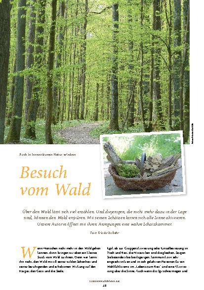 Vorschauseite 1: Besuch vom Wald
