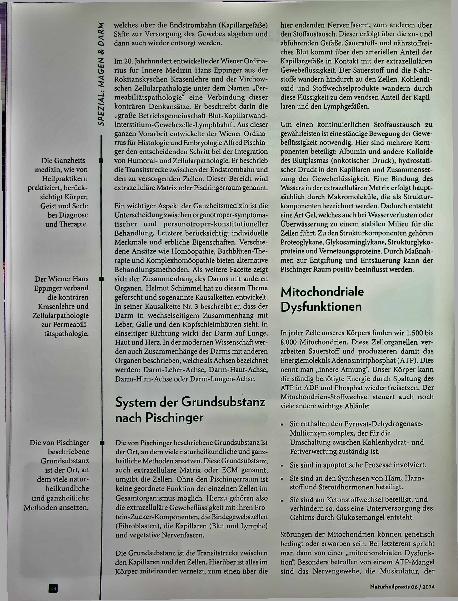 Vorschauseite 2: Der Tod sitzt im Darm. Ganzheitliche Gastroenterologie - Teil 1.