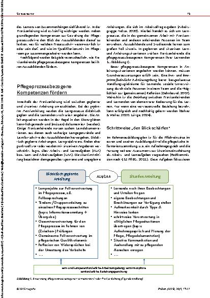Vorschauseite 3: Pflegeprozessbezogene Kompetenzen in der Praxis anbahnen!? Herausforderungen und Anregungen für die Praxisanleitung
