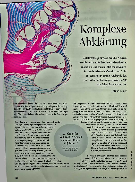 Vorschauseite 1: Komplexe Abklärung