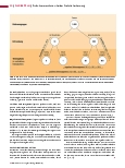 Vorschauseite 5: Risikokommunikation bei der Krebsfrüherkennung Risiken und Unsicherheiten erkennen und kommunizieren