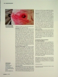Vorschauseite 3: Peristomale Wunden - Ursachen und Behandlung