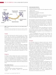 Vorschauseite 3: Das Guillain-Barré-Syndrom - Krankheit mit besonderer Aktualität.
