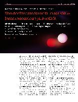 Vorschauseite 1: Von der Postmoderne zu einer säkularen rationalen Spiritualität