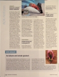 Vorschauseite 1: AOK-Notizen