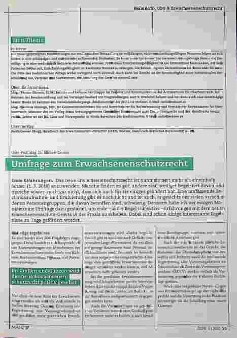 Vorschauseite 4: Spezielle Problembereiche der medizinischen Behandlung im Rahmen des Erwachsenenschutzrechts