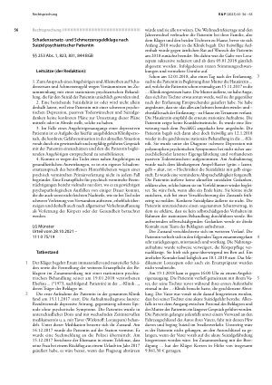 Vorschauseite 1: Schadensersatzund Schmerzensgeldklage nach Suizid psychiatrischer Patientin
