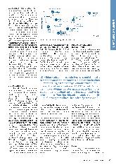 Vorschauseite 2: Neuro-Change und das Limbische System im Gehirn – eine starke Verbindung