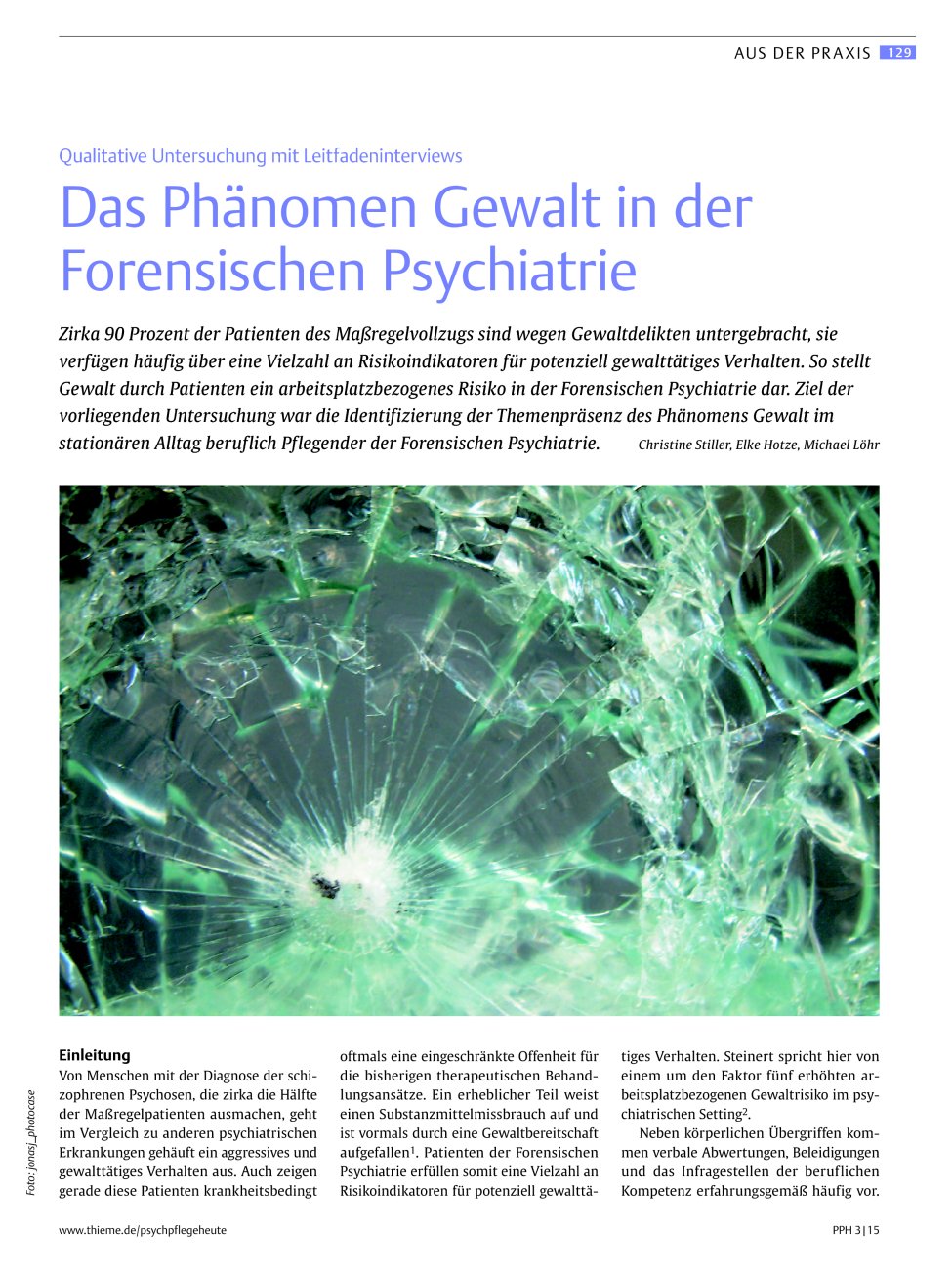 Vorschauseite 1: Das Phänomen Gewalt in der Forensischen Psychiatrie