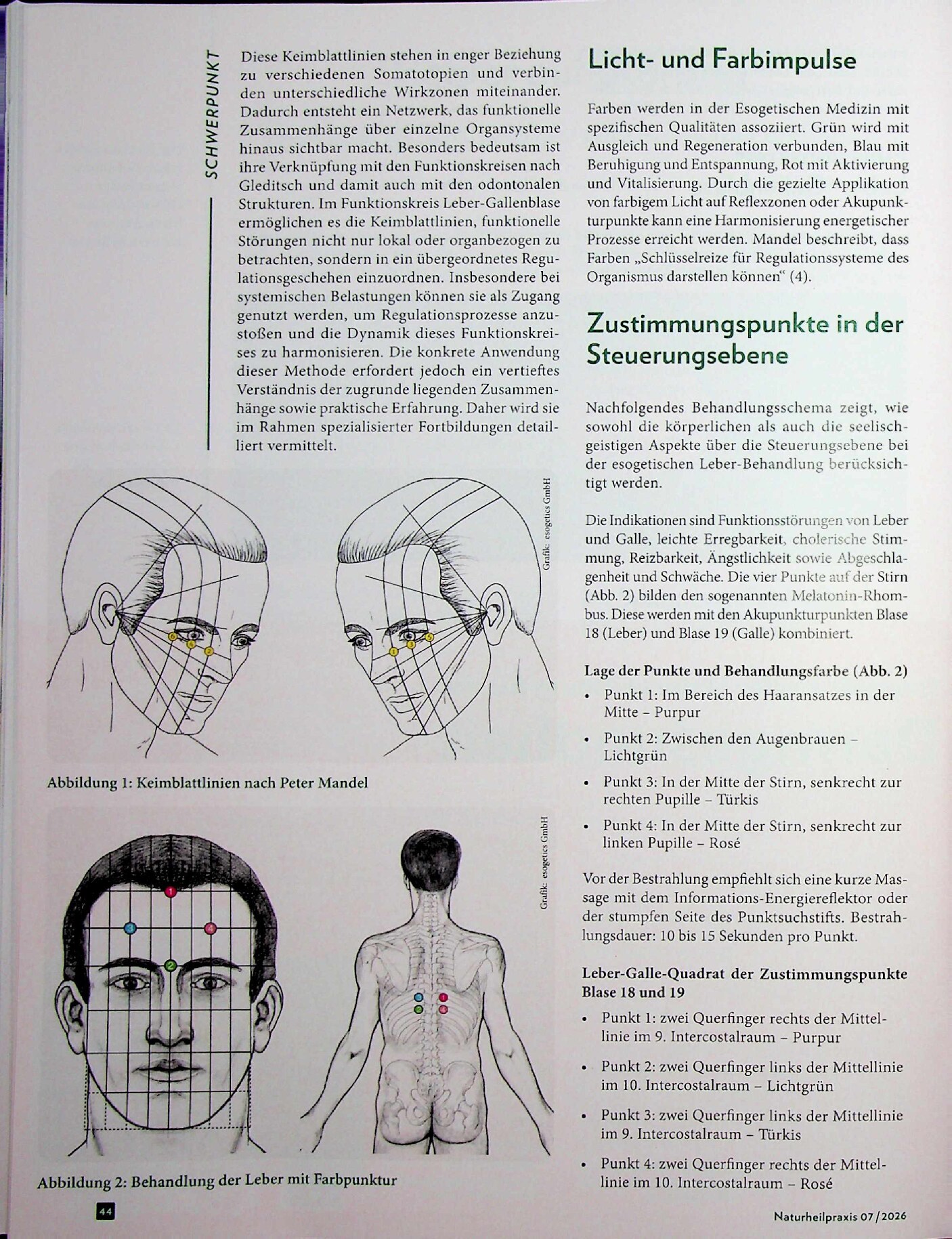 Vorschauseite 3: Regler auf Störung: Die Leber als Schlüsselorgan zwischen Körper und Seele