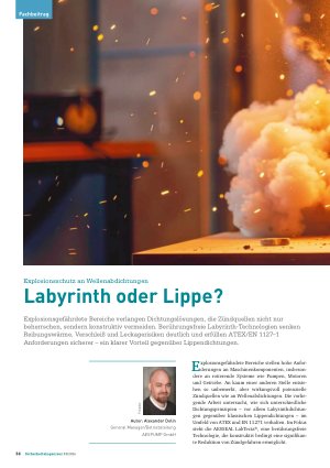 Vorschauseite 1: Explosionsschutz an Wellenabdichtungen Labyrinth oder Lippe?