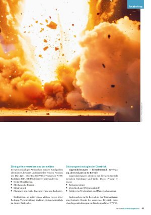 Vorschauseite 2: Explosionsschutz an Wellenabdichtungen Labyrinth oder Lippe?