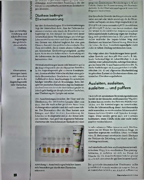 Vorschauseite 3: Staumeldungen Rheuma - ein Zuviel an Schmerzen