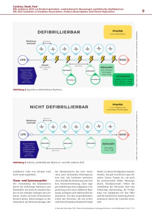 Vorschauseite 5: ERC-Leitlinien 2025 zur Kinderreanimation: evidenzbasierte Neuerungen und klinische Implikationen