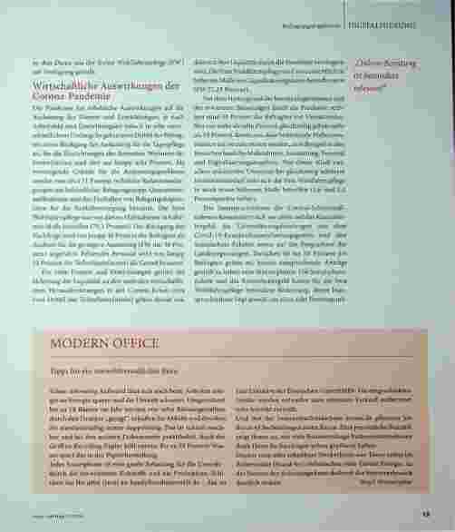 Vorschauseite 2: Wirtschaftliche und digitale Strategien in der Covid-19-Pandemie