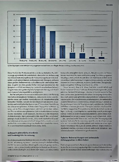 Vorschauseite 2: Schmerzen gemeinsam lindern: Ambulante Schmerztherapie in der Palliativversorgung