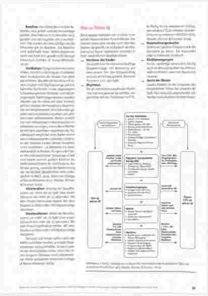 Vorschauseite 2: Intelligent, strukturiert, intermittierend