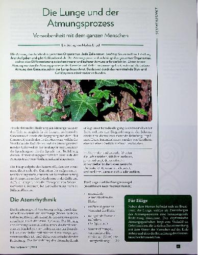 Vorschauseite 1: Die Lunge und der Atmungsprozess sind verwoben mit dem ganzen Menschen.