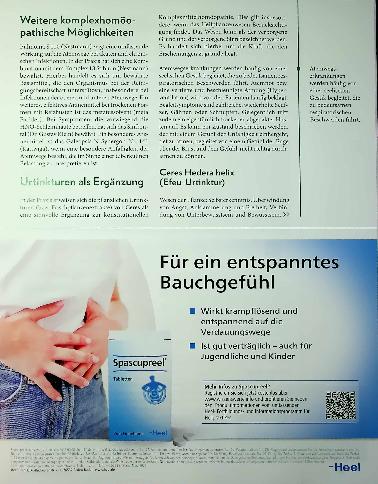 Vorschauseite 3: Die Lunge und der Atmungsprozess sind verwoben mit dem ganzen Menschen.