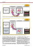 Vorschauseite 3: Unterrichtliche Umsetzung des exemplarischen Prinzips: Ein pragmatischer Handlungsleitfaden für Lehrende