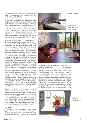 Vorschauseite 4: Architektur als Therapieansatz