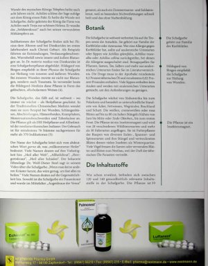Vorschauseite 2: Die Augenbraue der Venus o Pflanzenporträt Schafgarbe