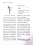 Vorschauseite 3: Tumoren des Kopf-Hals-Bereichs - Therapieoptionen und Nebenwirkungsmanagement