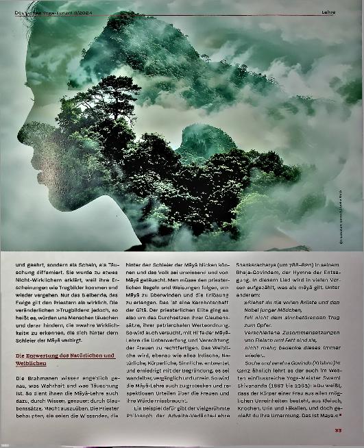 Vorschauseite 2: Der Schleier der Maya und die »wahre Wirklichkeit«