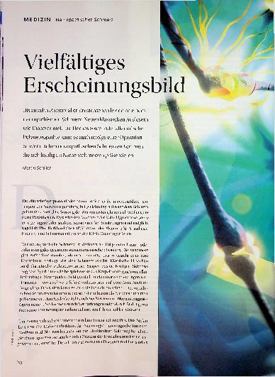 Vorschauseite 1: Vielfältiges Erscheinungsbild