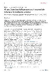 Vorschauseite 1: KI-gestützte Geschäftsprognosen, transmediale Inhalte und strukturierte Daten