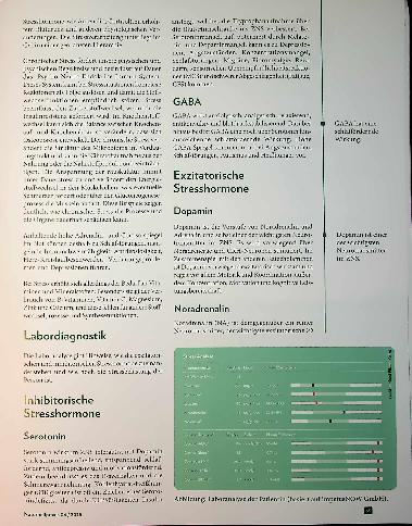 Vorschauseite 2: Klarheit schaffen So verändert Stress die Stoffwechselfunktionen