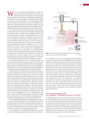 Vorschauseite 2: Ionisationstechniken in der Massenspektrometrie Die Bildung und gezielte Fragmentierung von Ionen in der LC-MS und GC-MS (Teil 1