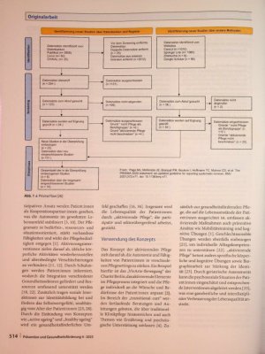 Vorschauseite 4: Konzeptanalyse „Aktivierende Pflege"