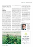 Vorschauseite 3: Cannabis-Verordnungen als Rechtsproblem: Ein langer und steiniger Weg