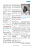 Vorschauseite 2: Hygieneund Desinfektionsmaßnahmen bei Infektionen mit dem Affenpockenvirus