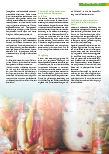 Vorschauseite 2: Fermentation als Therapie bei Allergien