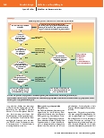 Vorschauseite 6: Management des schwierigen Atemwegs – Die aktualisierten Handlungsempfehlungen der Canadian Airway Focus Group