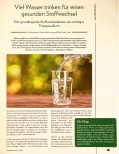 Vorschauseite 1: Viel Wasser trinken für einen gesunden Stoffwechsel. Der grundlegende Stoffwechselakteur als wichtiges Therapeutikum.
