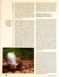 Vorschauseite 2: Viel Wasser trinken für einen gesunden Stoffwechsel. Der grundlegende Stoffwechselakteur als wichtiges Therapeutikum.
